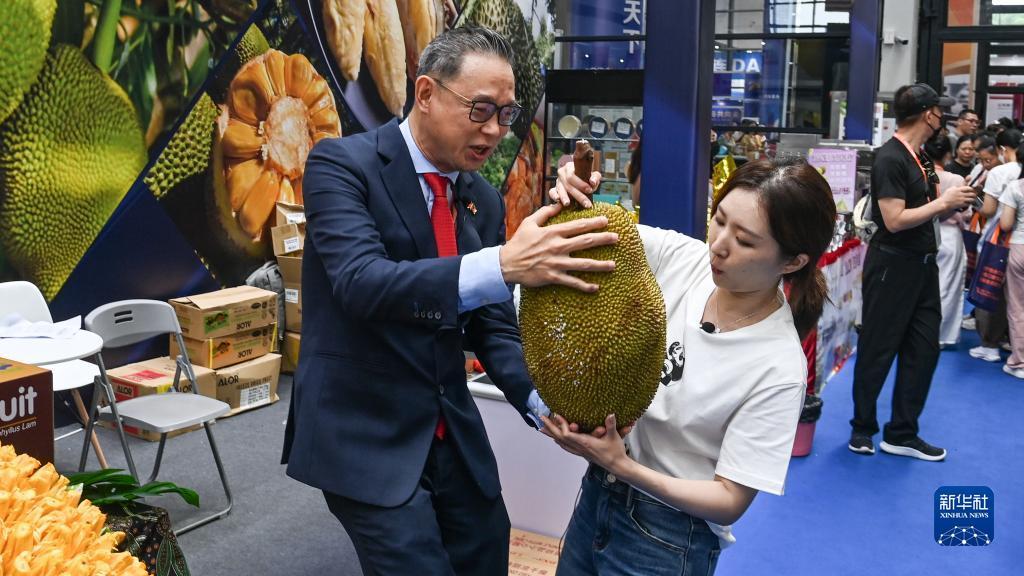 威尼斯m